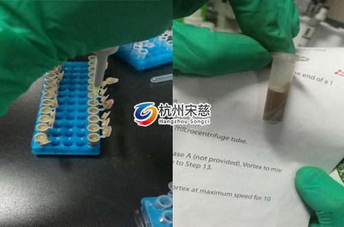 <a href=http://yoooo.com.cn/prouduct/lengdong/ target=_blank class=infotextkey>冷凍研磨儀</a>